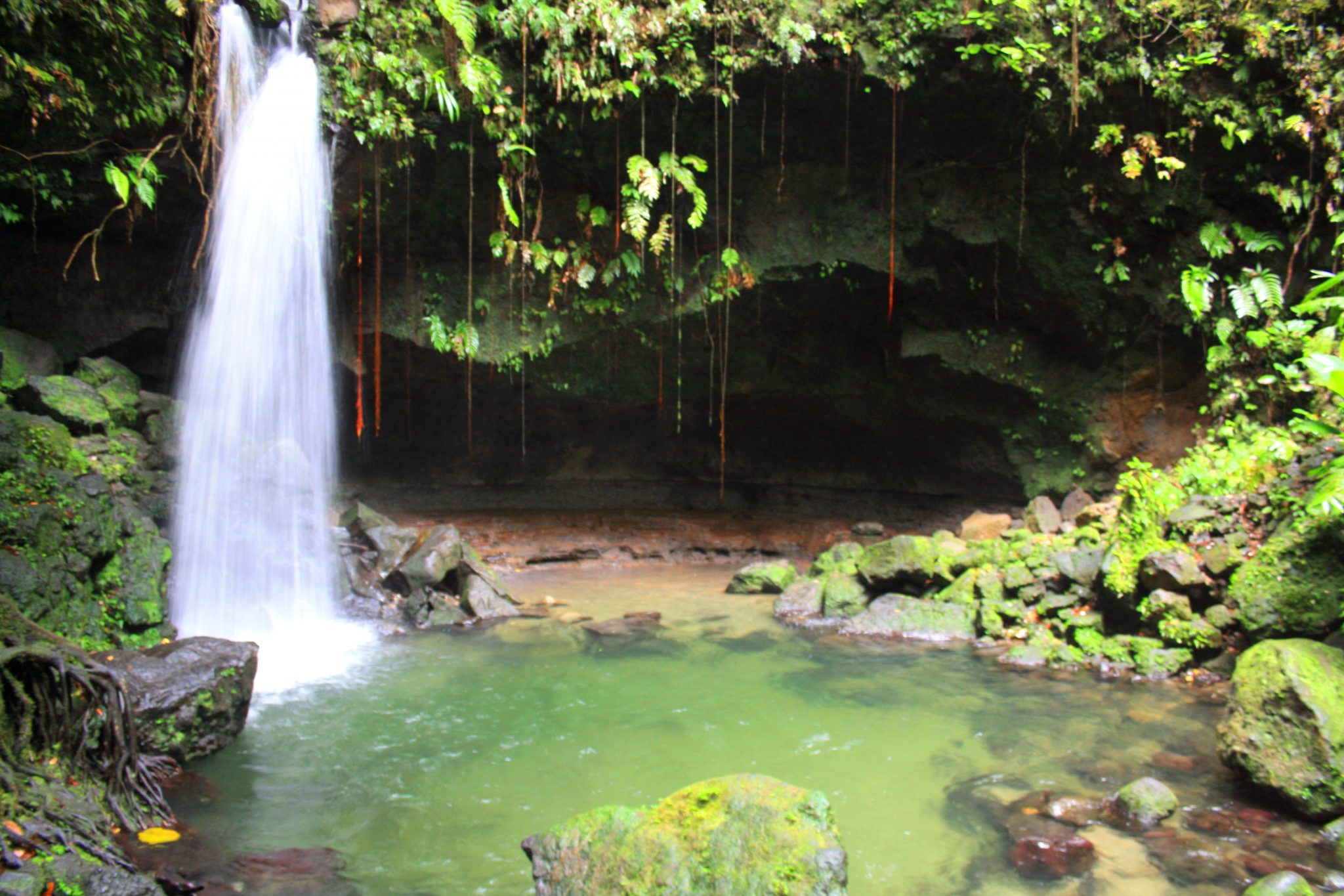 Emerald-Pool-auf-Dominica