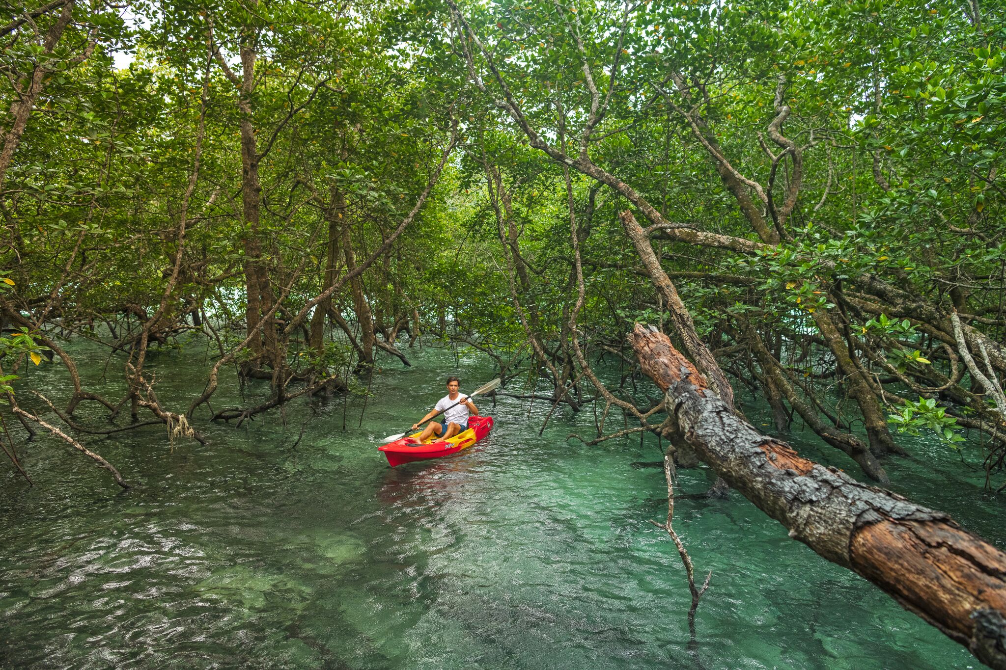 reisefieber-individualreisen-wa-ale-resort-kayak