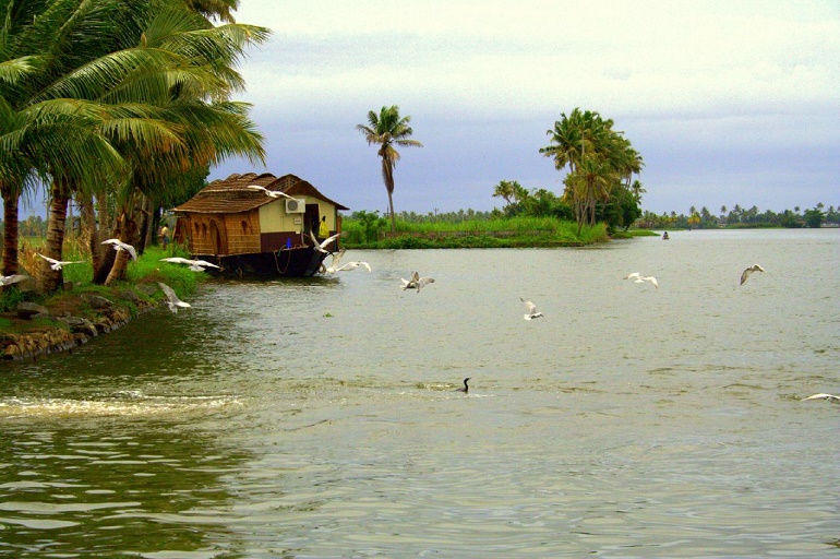 reisefieber-reisen-indien-kerala-backwater.jpg